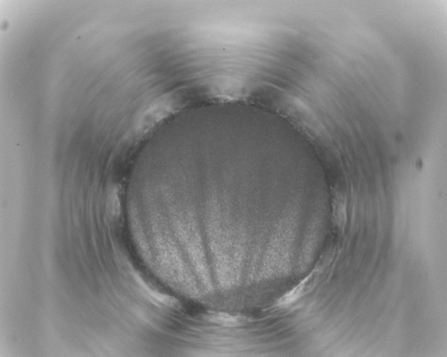 X0000088590128200706221350