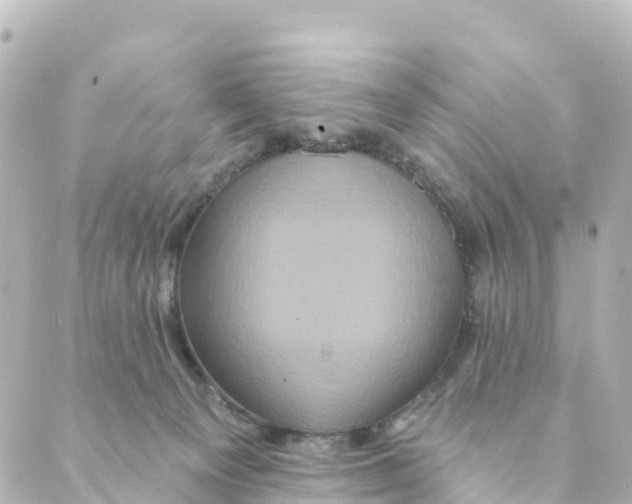 X0000088590129200706221350