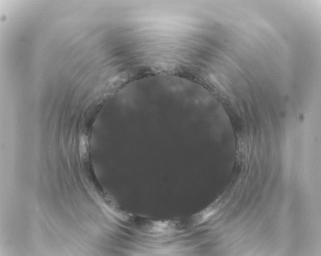 X0000088590130200706221350