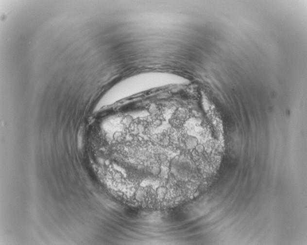 X0000088590131200706221350