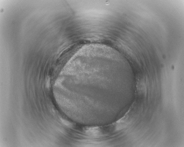 X0000088590132200706221350