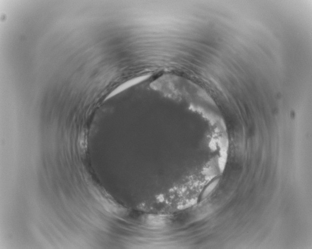 X0000088590134200706221350