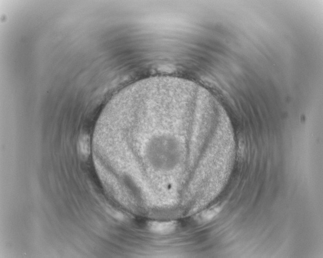 X0000088590135200706221350