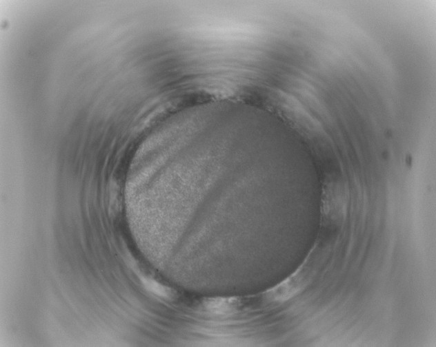 X0000088590136200706221350