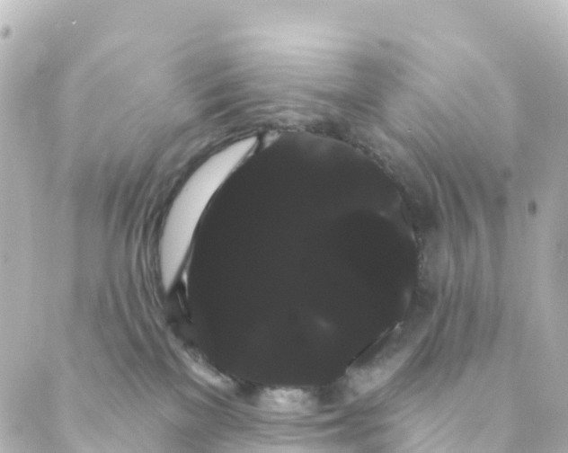 X0000088590137200706221350