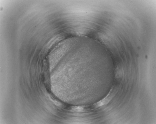 X0000088590140200706221350