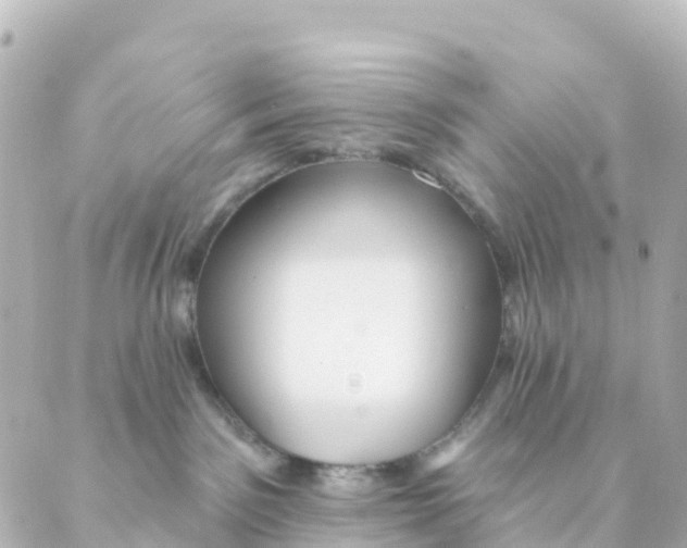 X0000088590141200706221350