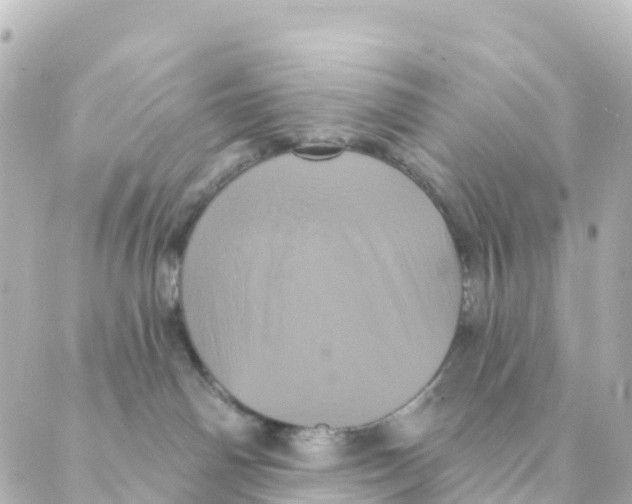 X0000088590142200706221350