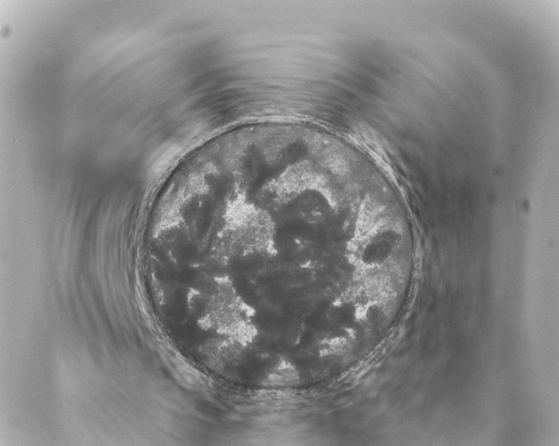 X0000088590145200706221349