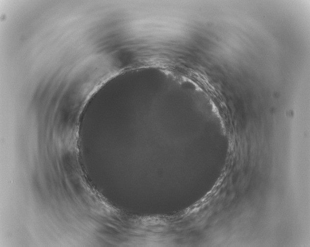 X0000088590146200706221349