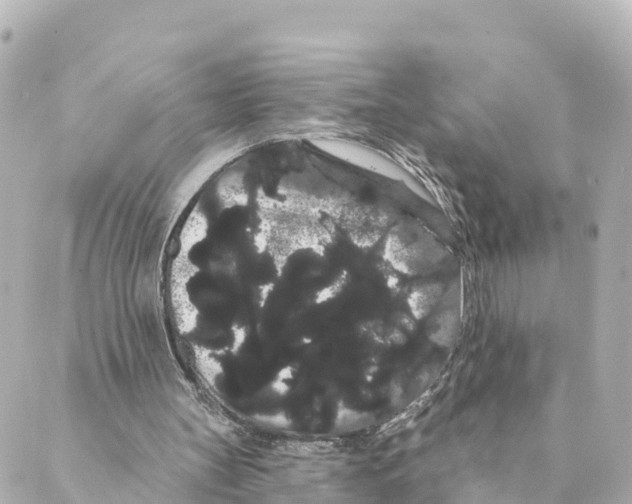 X0000088590147200706221349