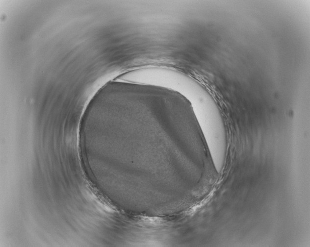 X0000088590148200706221349