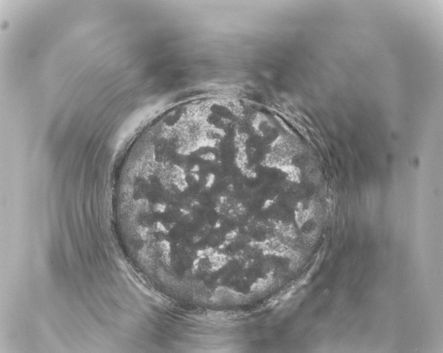 X0000088590149200706221349