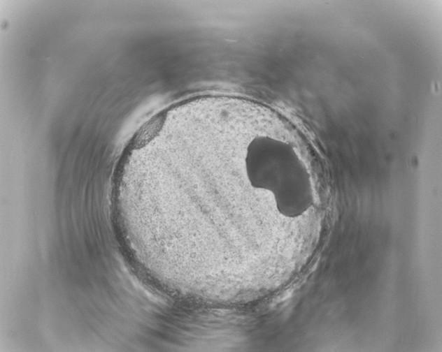 X0000088590151200706221349