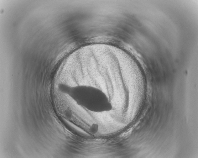 X0000088590153200706221349