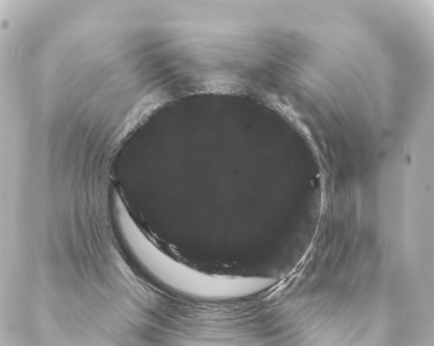 X0000088590154200706221349