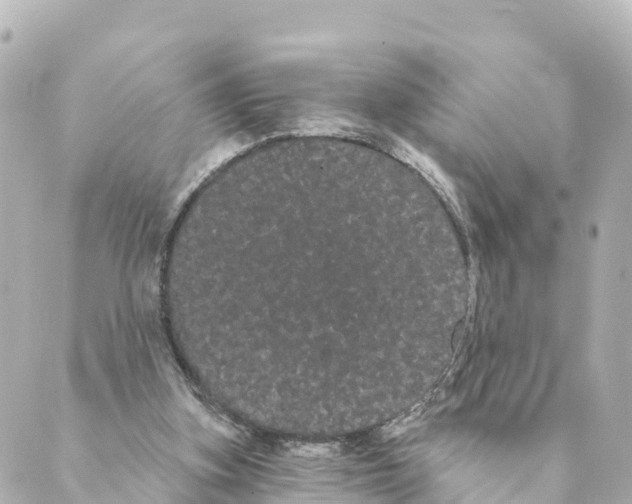 X0000088590155200706221349