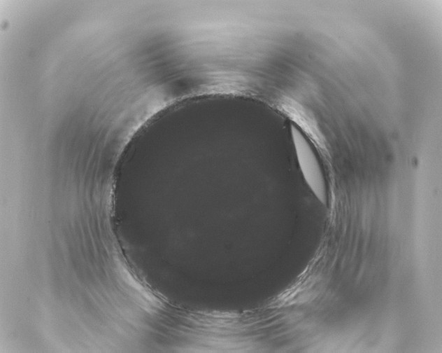 X0000088590156200706221350