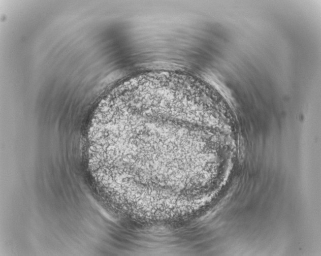 X0000088590157200706221350