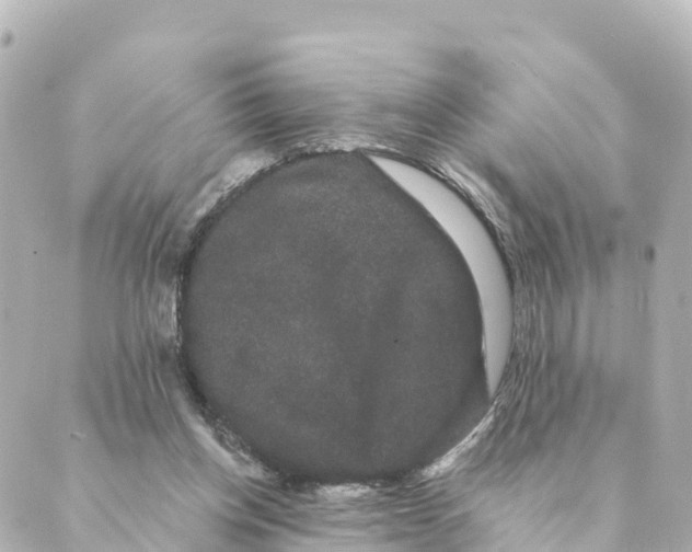 X0000088590158200706221350