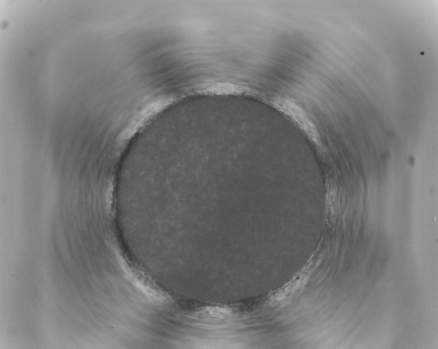 X0000088590159200706221350