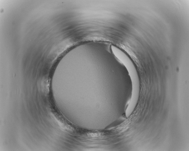 X0000088590160200706221350