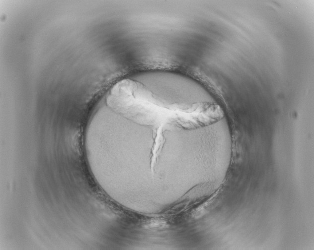 X0000088590162200706221350