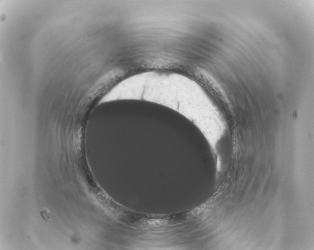 X0000088590163200706221350