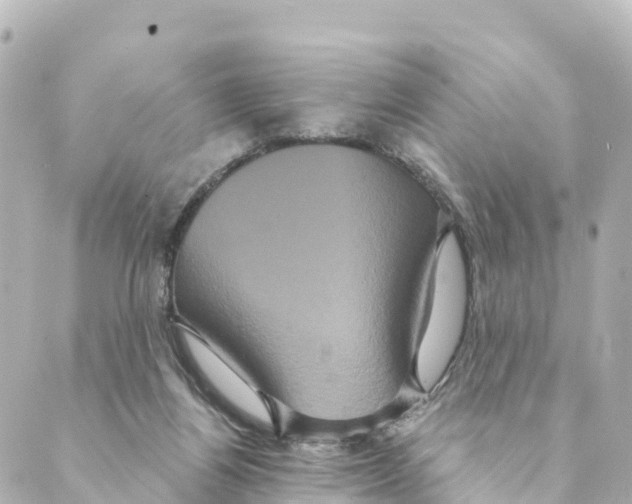 X0000088590164200706221350