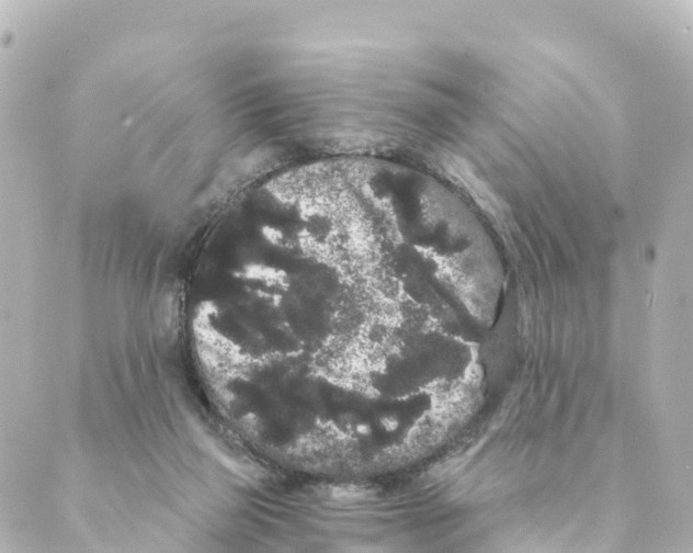 X0000088590165200706221350