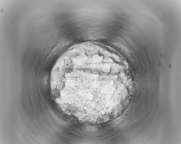 X0000088590166200706221350