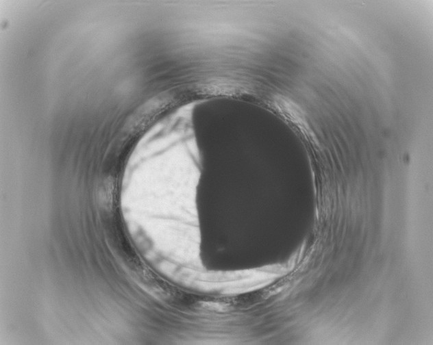 X0000088590167200706221350