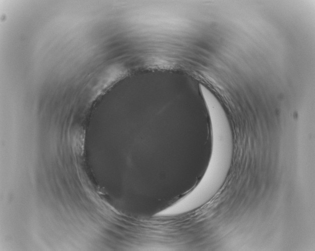 X0000088590168200706221350