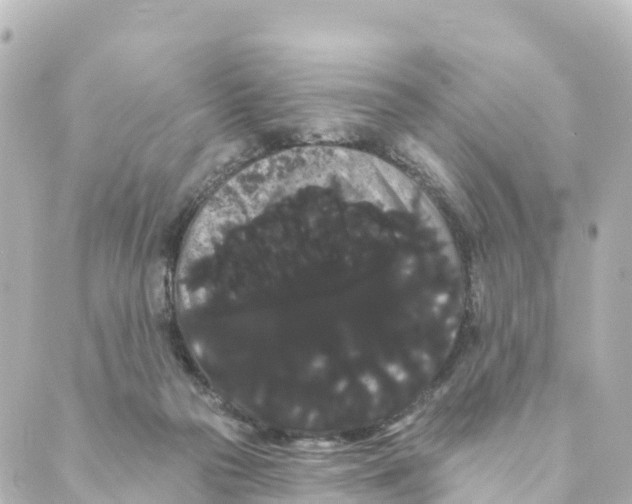 X0000088590169200706221350