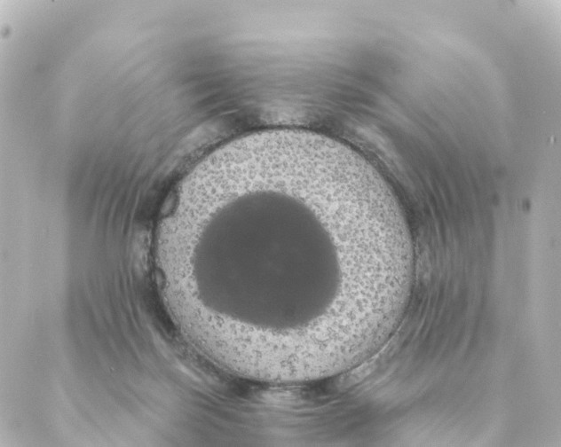 X0000088590171200706221350