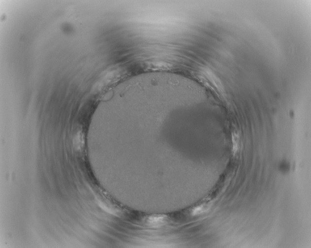 X0000088590173200706221350