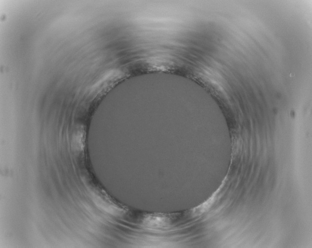 X0000088590174200706221350