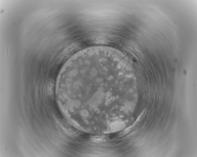 X0000088590175200706221350