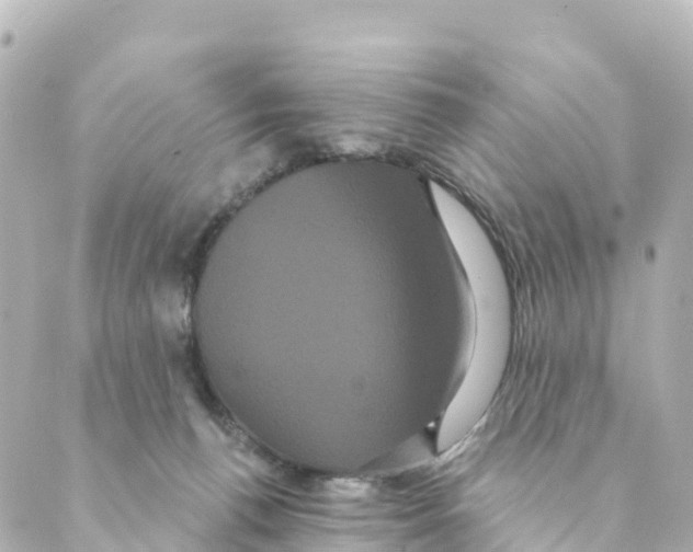 X0000088590176200706221350