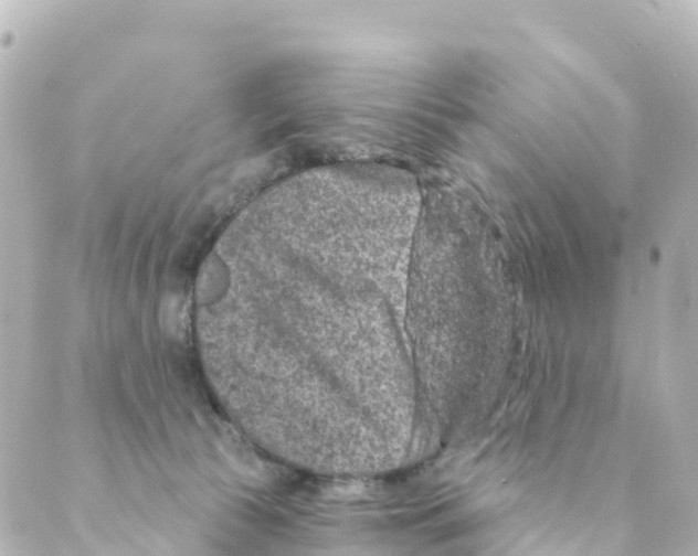 X0000088590177200706221350