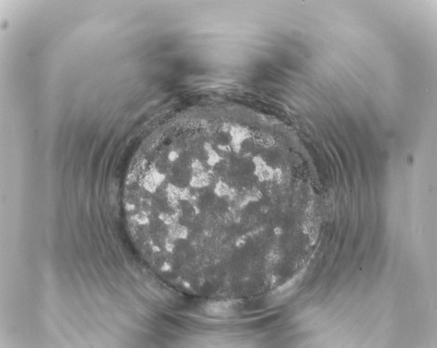 X0000088590178200706221350