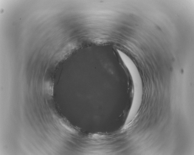 X0000088590180200706221350