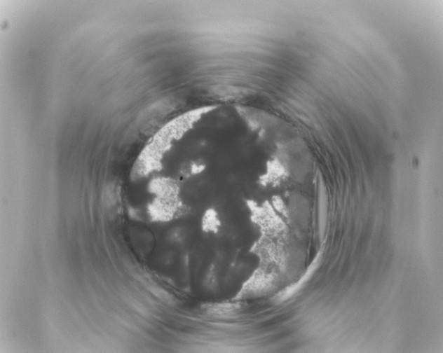 X0000088590182200706221350