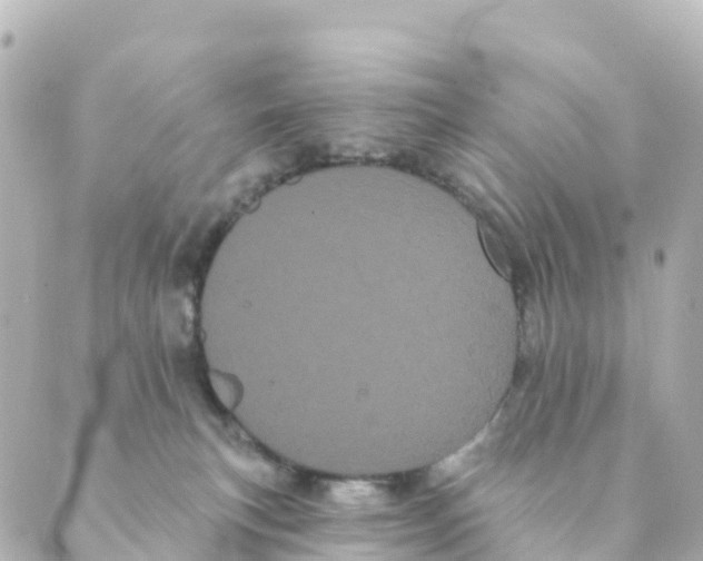 X0000088590183200706221350