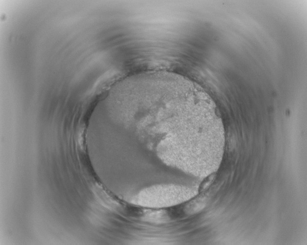 X0000088590185200706221350