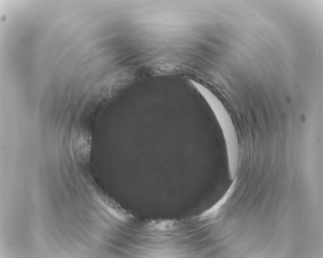 X0000088590186200706221350