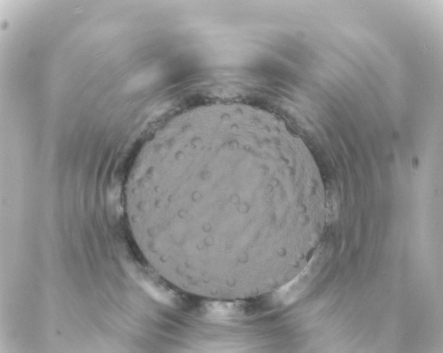 X0000088590187200706221350