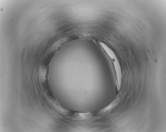 X0000088590188200706221350