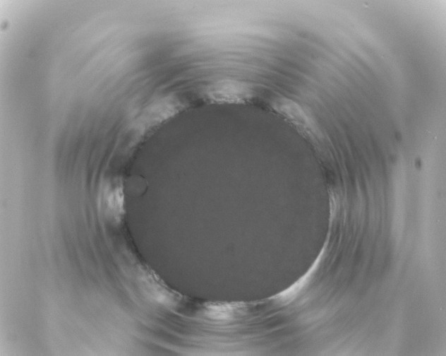 X0000088590190200706221350