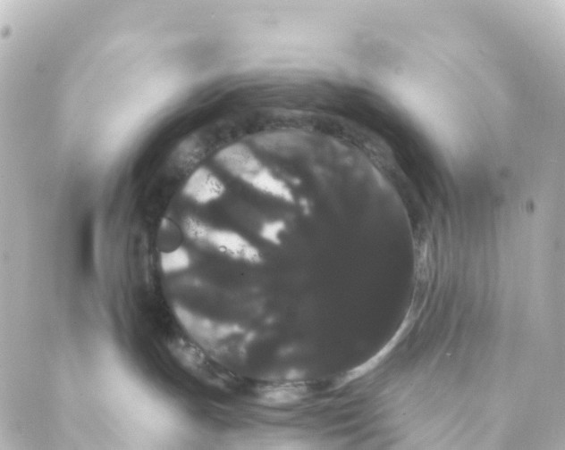 X0000088590191200706221350